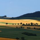 Sommerlandschaft im Hegau