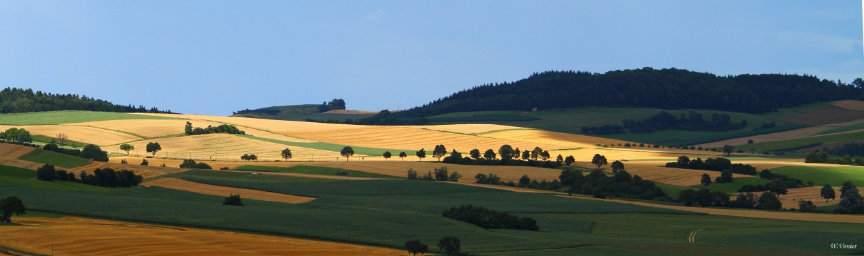 Sommerlandschaft im Hegau