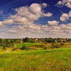 Sommerlandschaft im Norden Berlins