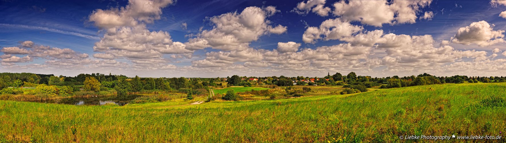 Sommerlandschaft im Norden Berlins