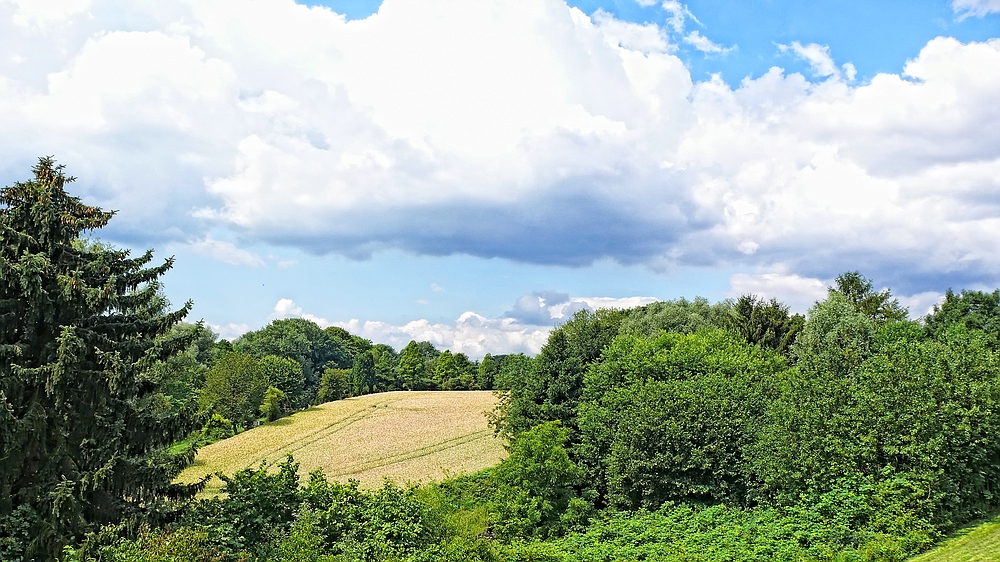 Sommerlandschaft im Ruhrgebiet [E-Schönebeck]