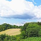 Sommerlandschaft im Ruhrgebiet [E-Schönebeck]