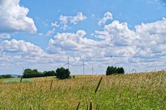 Sommerlandschaft im Saarland