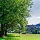 Sommerlandschaft im Saarland