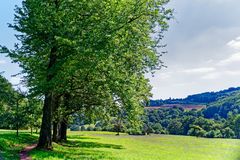 Sommerlandschaft im Saarland