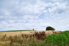 Sommerlandschaft im Saarland 