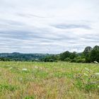 Sommerlandschaft Im Saarland