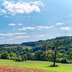 Sommerlandschaft im Saarland