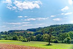 Sommerlandschaft im Saarland