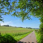 Sommerlandschaft im Saarland