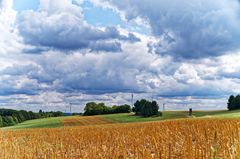 Sommerlandschaft im Saarland