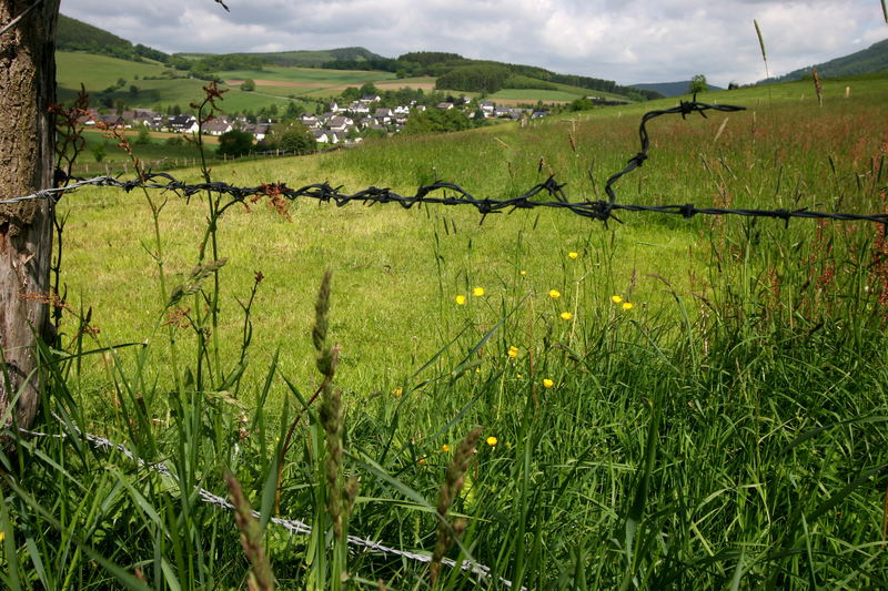 Sommerlandschaft im Sauerland