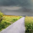 Sommerlandschaft in der Abenddämmerung