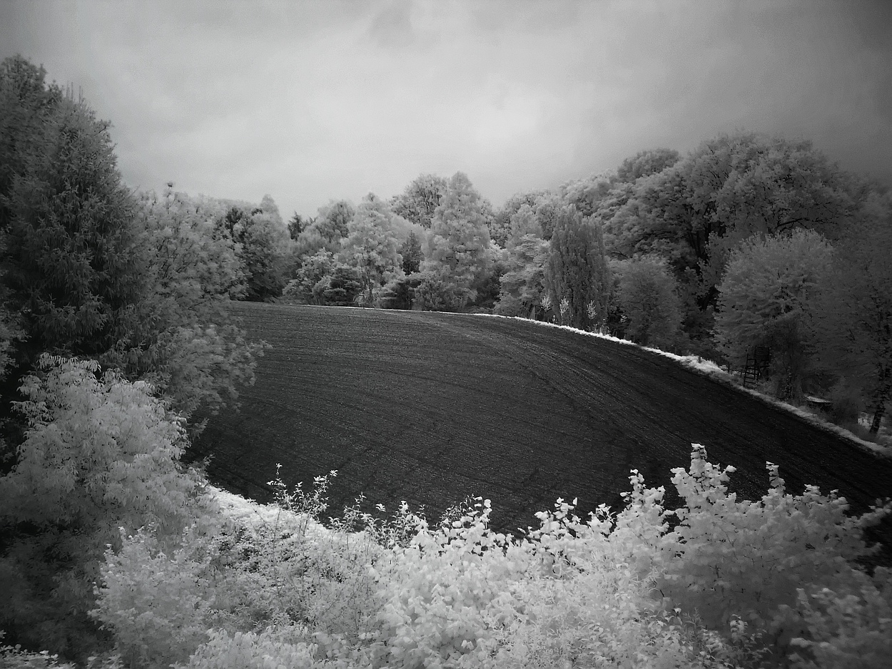 Sommerlandschaft in der Abenddämmerung (iR)