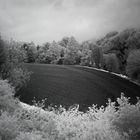 Sommerlandschaft in der Abenddämmerung (iR)