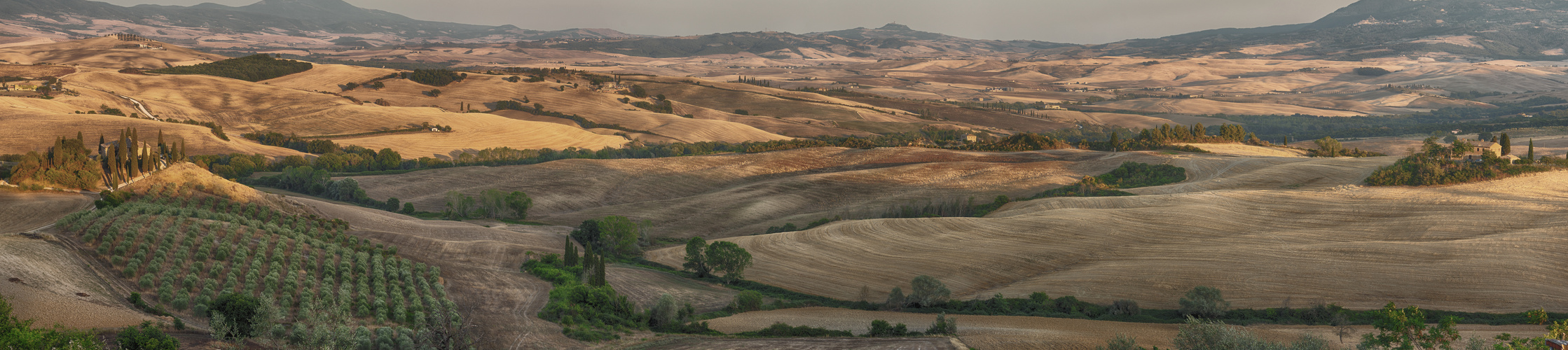 Sommerlandschaft IV