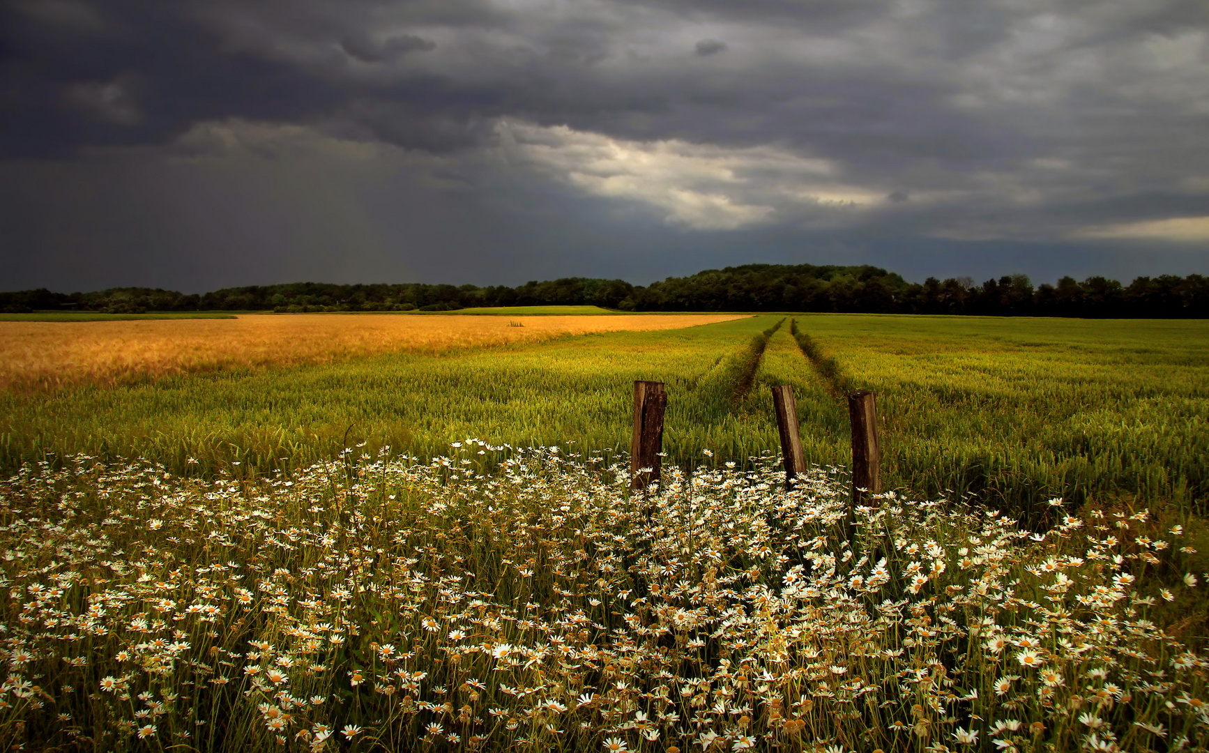 Sommerlandschaft mit aufziehendem Gewitter... (2)