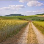 Sommerlandschaft (paisaje de verano)