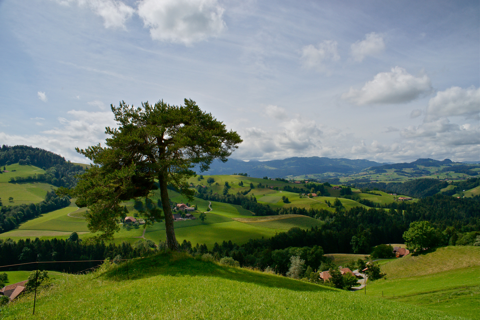 Sommerlaune