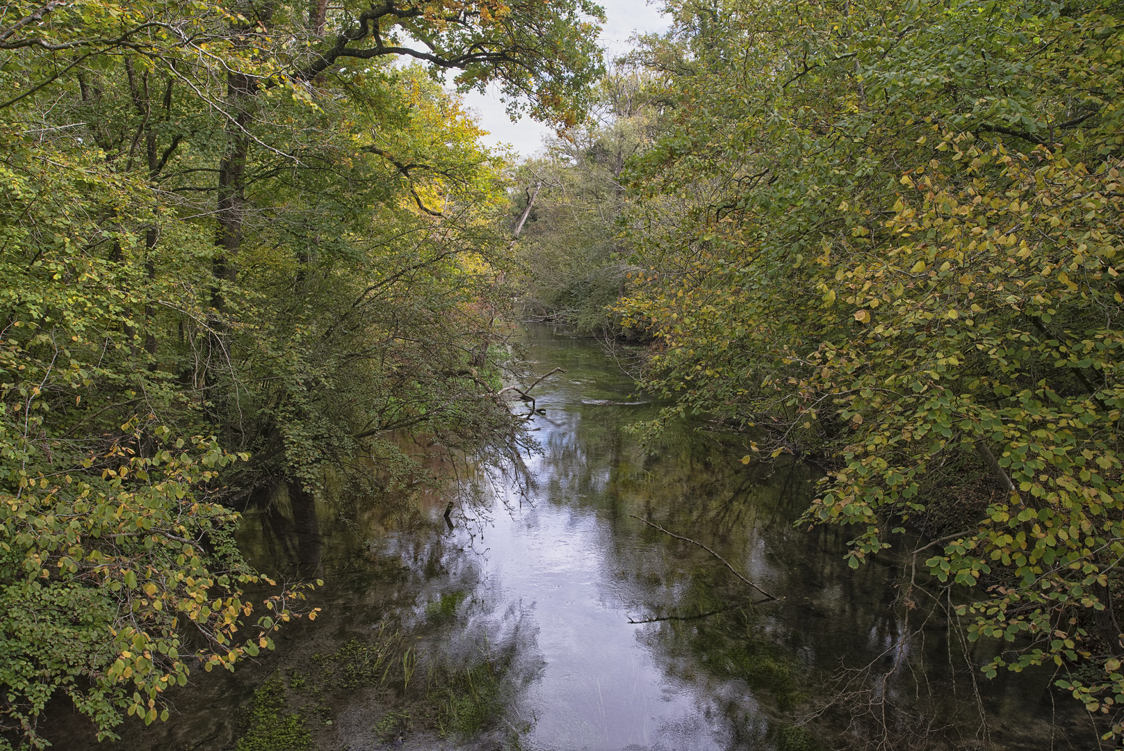 Sommerley Herbst