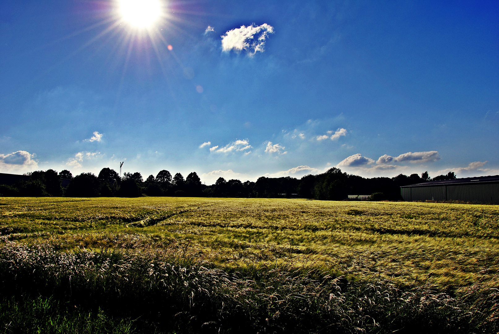 Sommerlich