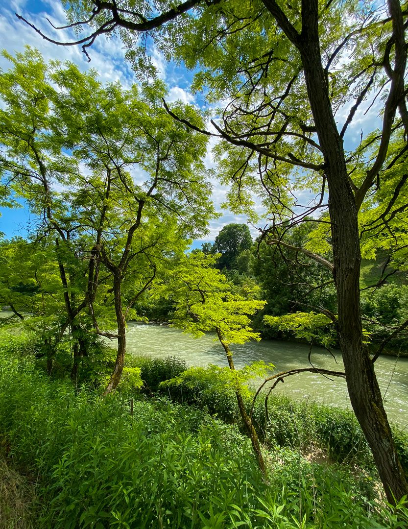 sommerlich am Fluss