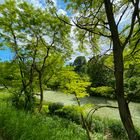 sommerlich am Fluss