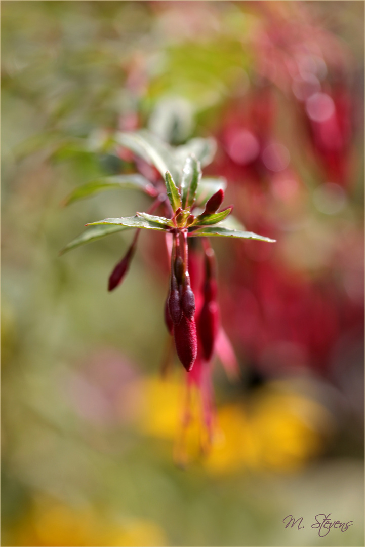 sommerlich-herbstlich