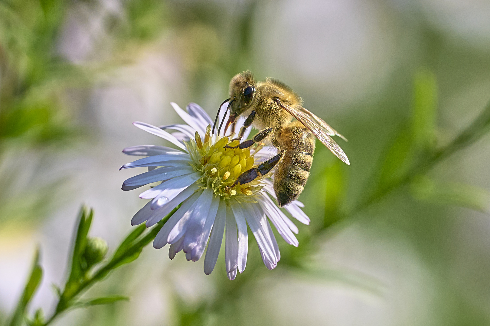 Sommerlich im September