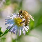 Sommerlich im September