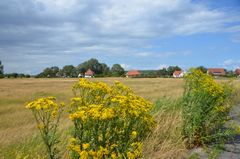 Sommerlich zu dem Max Taut Häuser Hiddensee 