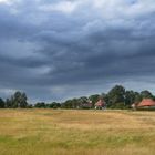 Sommerlich zu dem Max Taut Häuser Hiddensee 