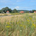 Sommerlich zu dem Max Taut Häuser Hiddensee 