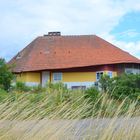 Sommerlich zu dem Max Taut Häuser Hiddensee 