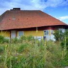 Sommerlich zu dem Max Taut Häuser Hiddensee 