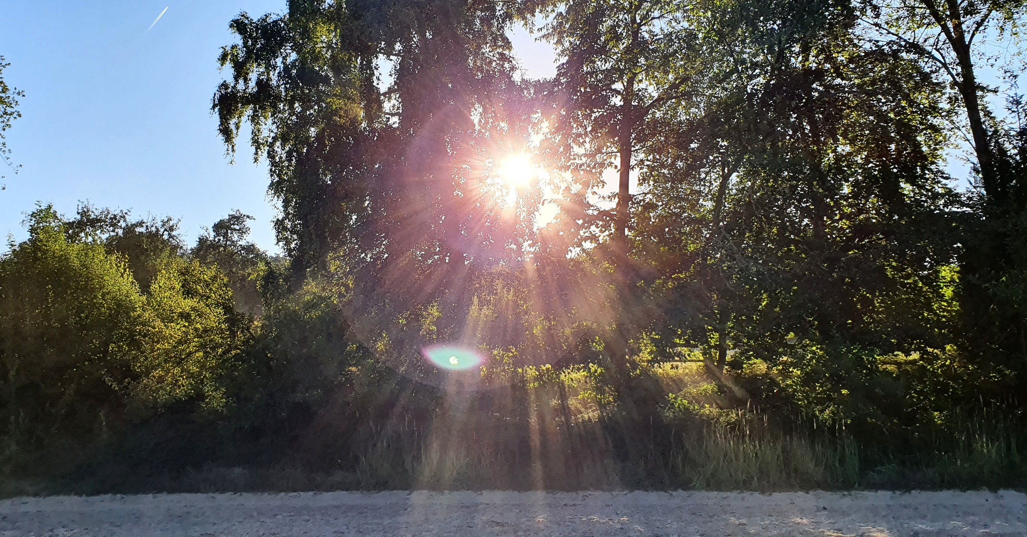 Sommerliche Abendstimmung