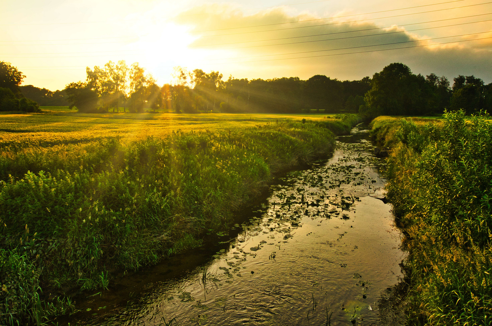 Sommerliche Abendstimmung