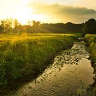 Sommerliche Abendstimmung