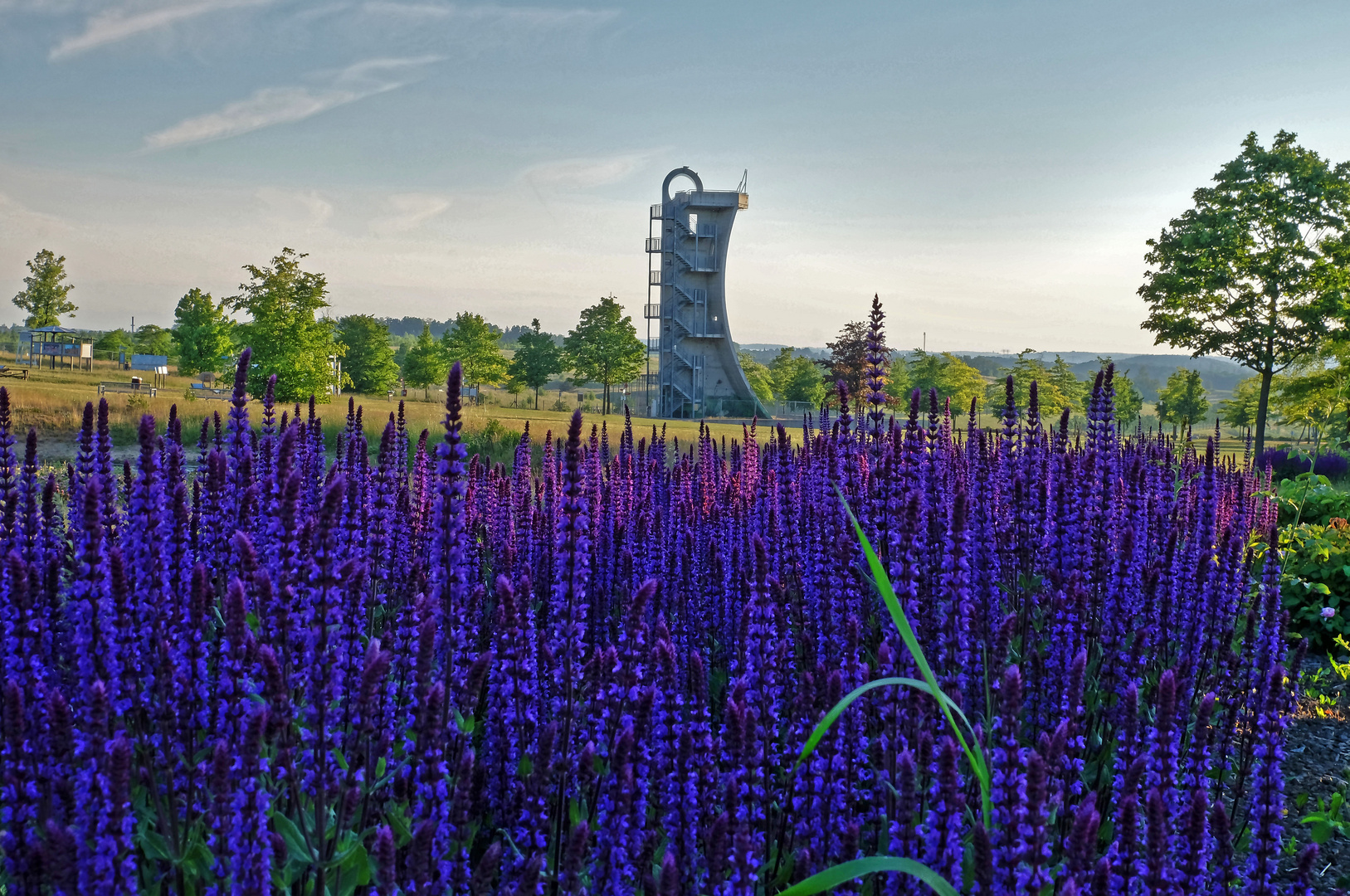 Sommerliche Abendstimmung in der Neuen Landschaft