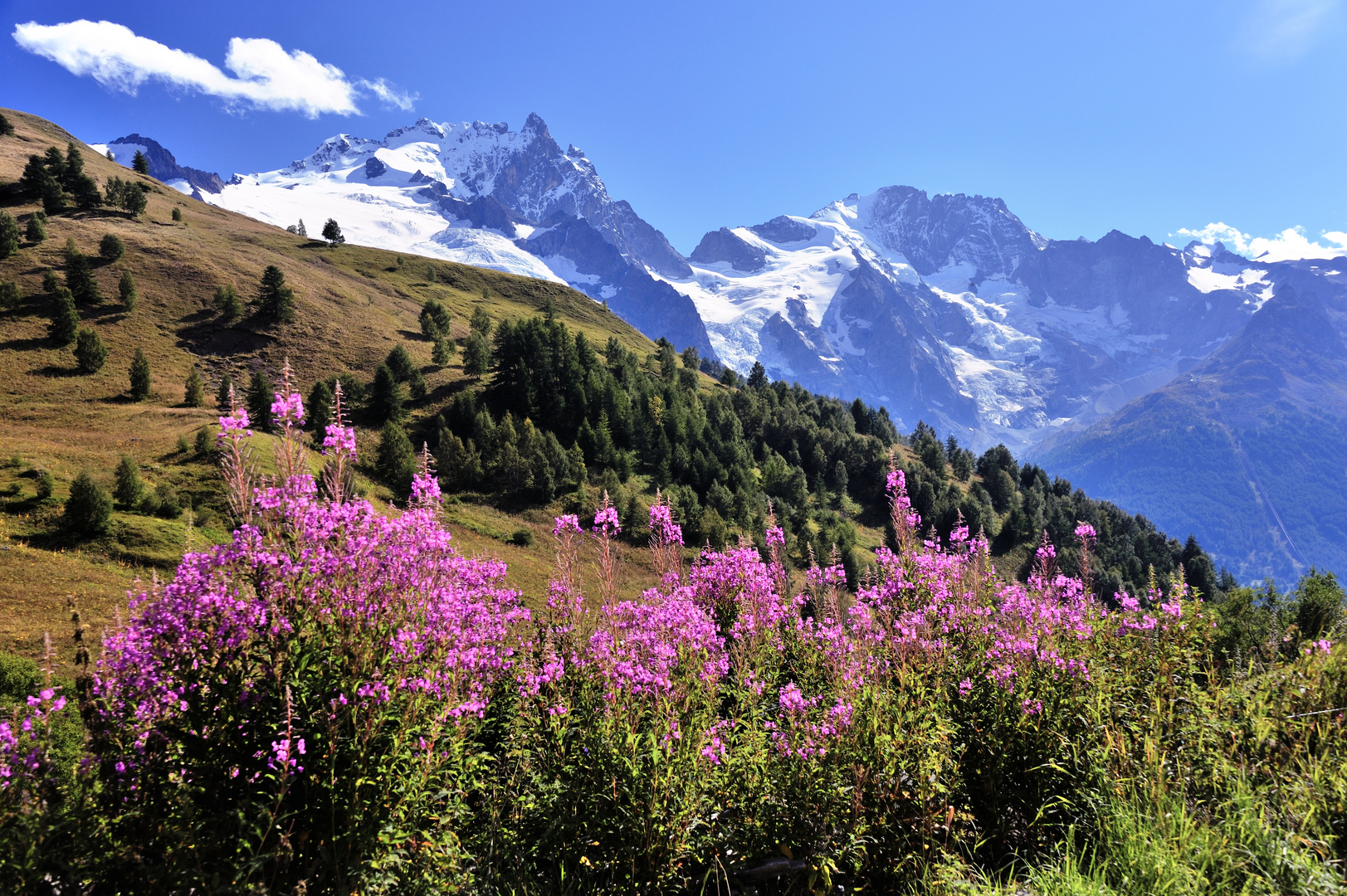 Sommerliche Alpenlandschaft © JF-Fotografie, Jürgen Feuerer