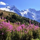 Sommerliche Alpenlandschaft © JF-Fotografie, Jürgen Feuerer