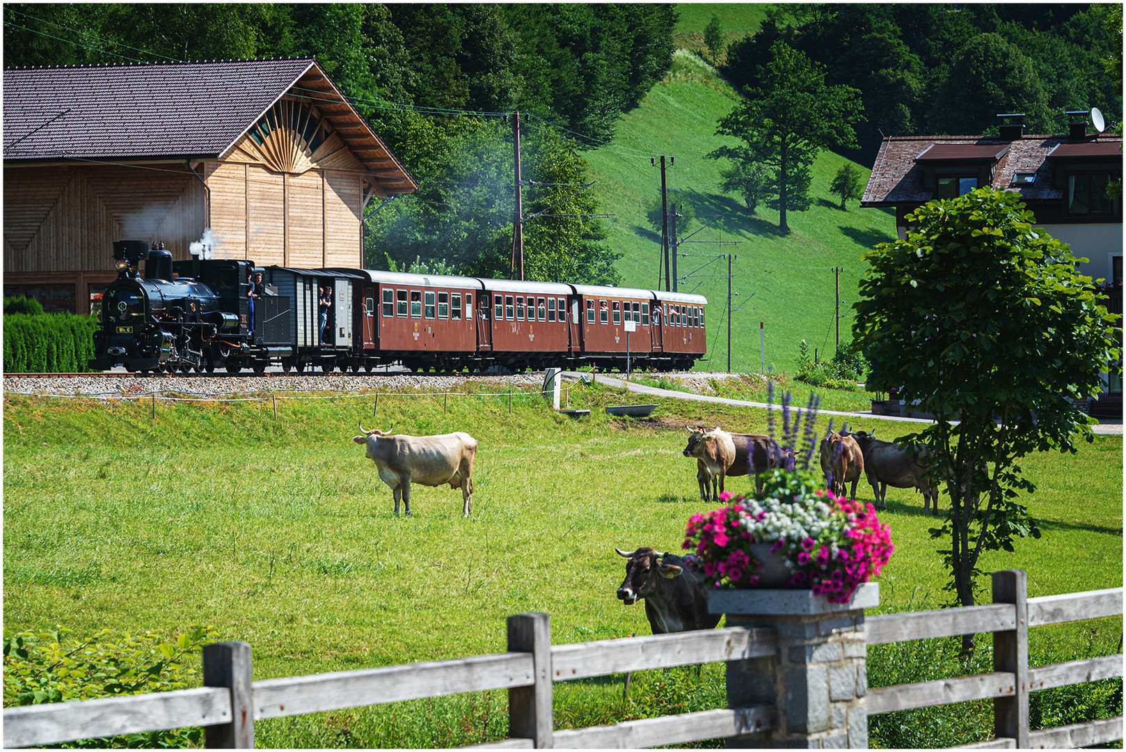 Sommerliche Ausfahrt