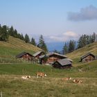 Sommerliche Bauernhof