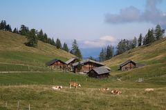 Sommerliche Bauernhof