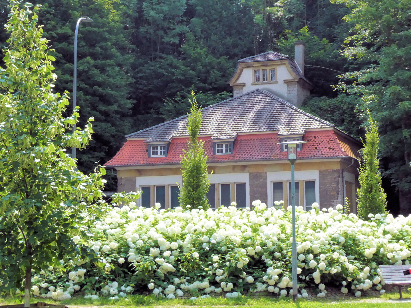 Sommerliche Blütenfülle vor einer Villa