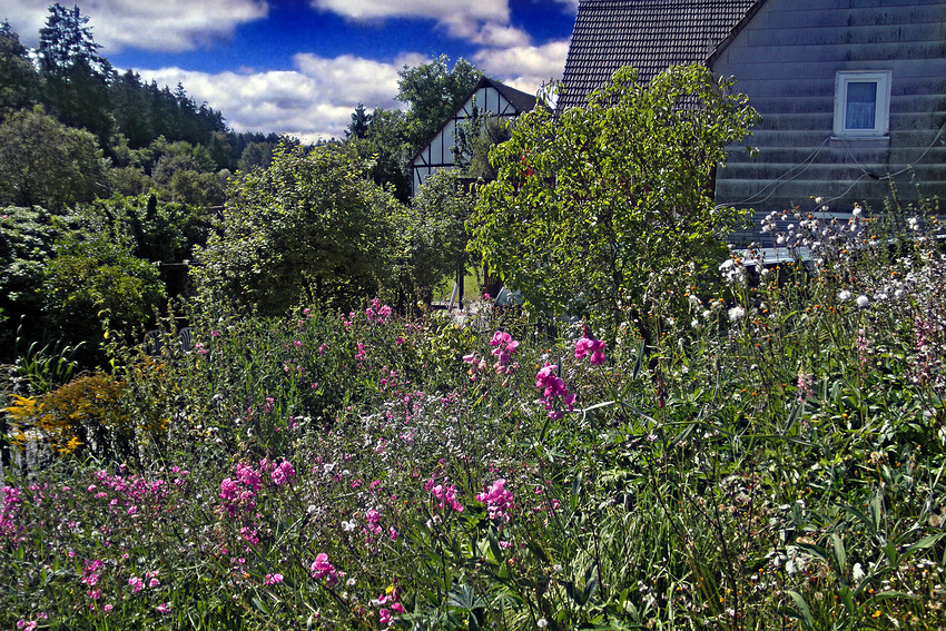 Sommerliche Dorfidylle