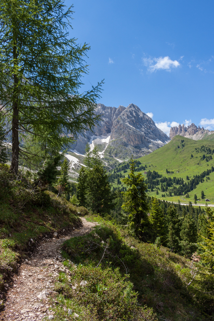 Sommerliche Erinnerung