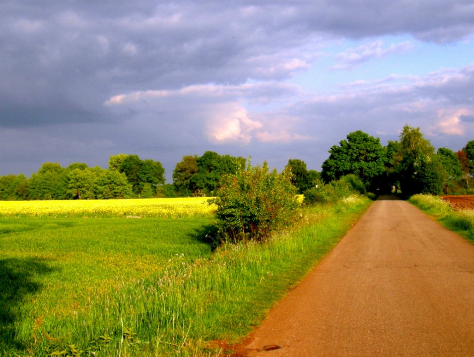 Sommerliche Feldmark