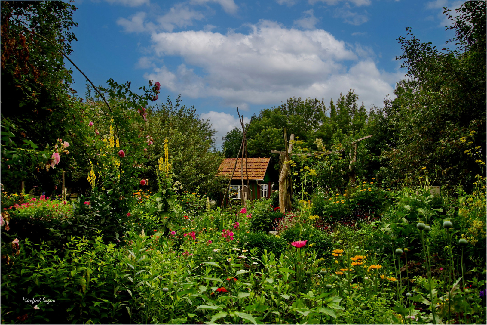 Sommerliche Gartenidylle... 