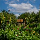 Sommerliche Gartenidylle... 